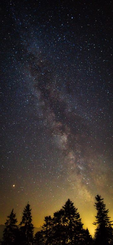 樱花动漫专注动漫的网站专注观看 樱花动漫 App 首页亮着深紫夜空配色，顶部是今日更新栏目，下方依次排列着在追番剧的封面卡片，整体安静少光